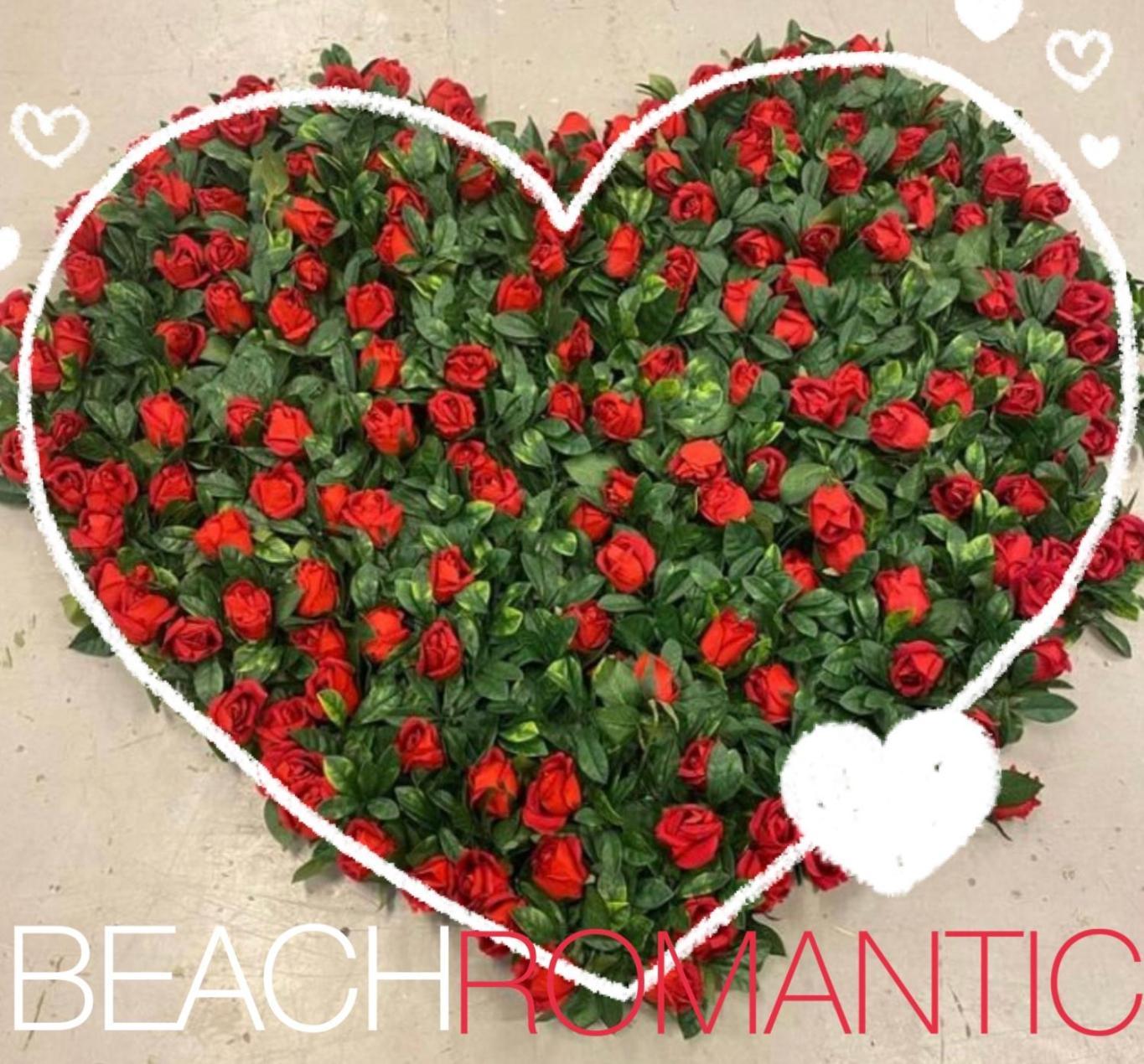 Beach Camp Höganäs Εξωτερικό φωτογραφία