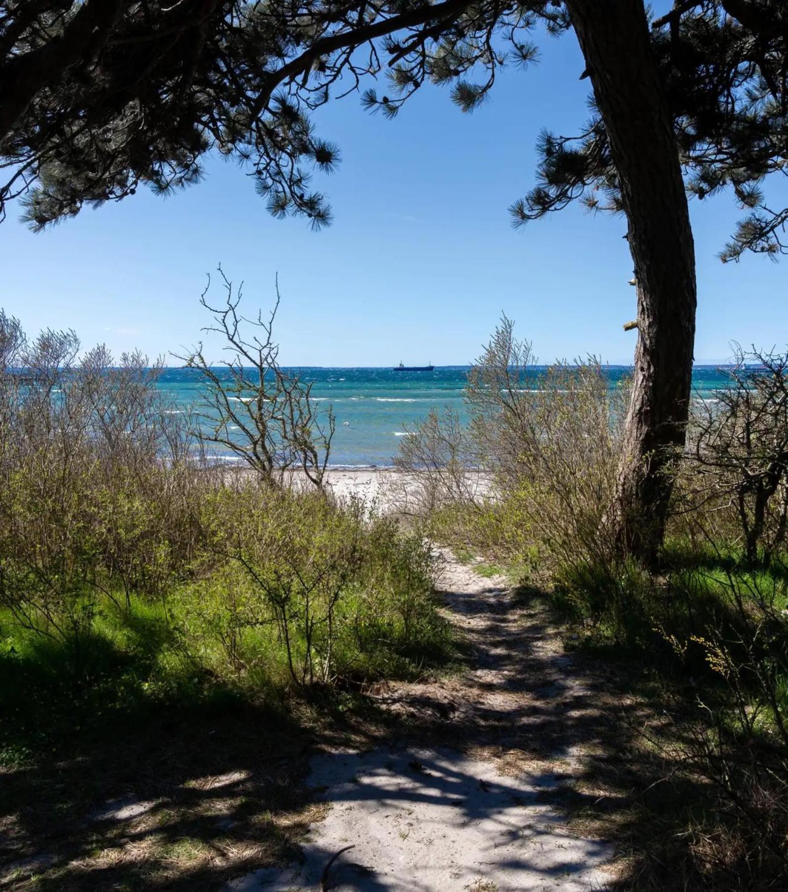 Beach Camp Höganäs Εξωτερικό φωτογραφία